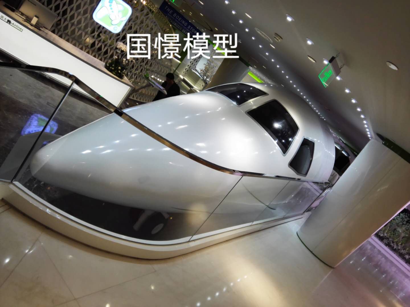 仙桃市大型仿真模型道具